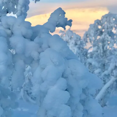 Arctic Panorama With Private Sauna בית נופש קילפיסיארבי